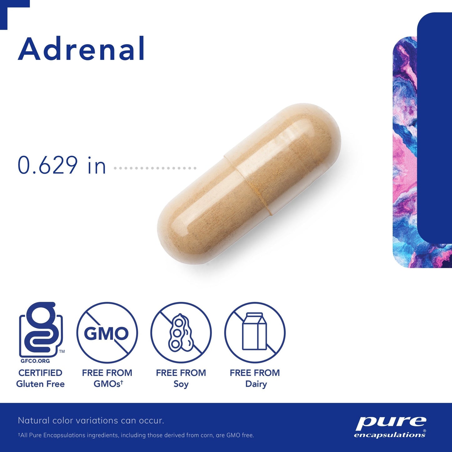 Adrenal