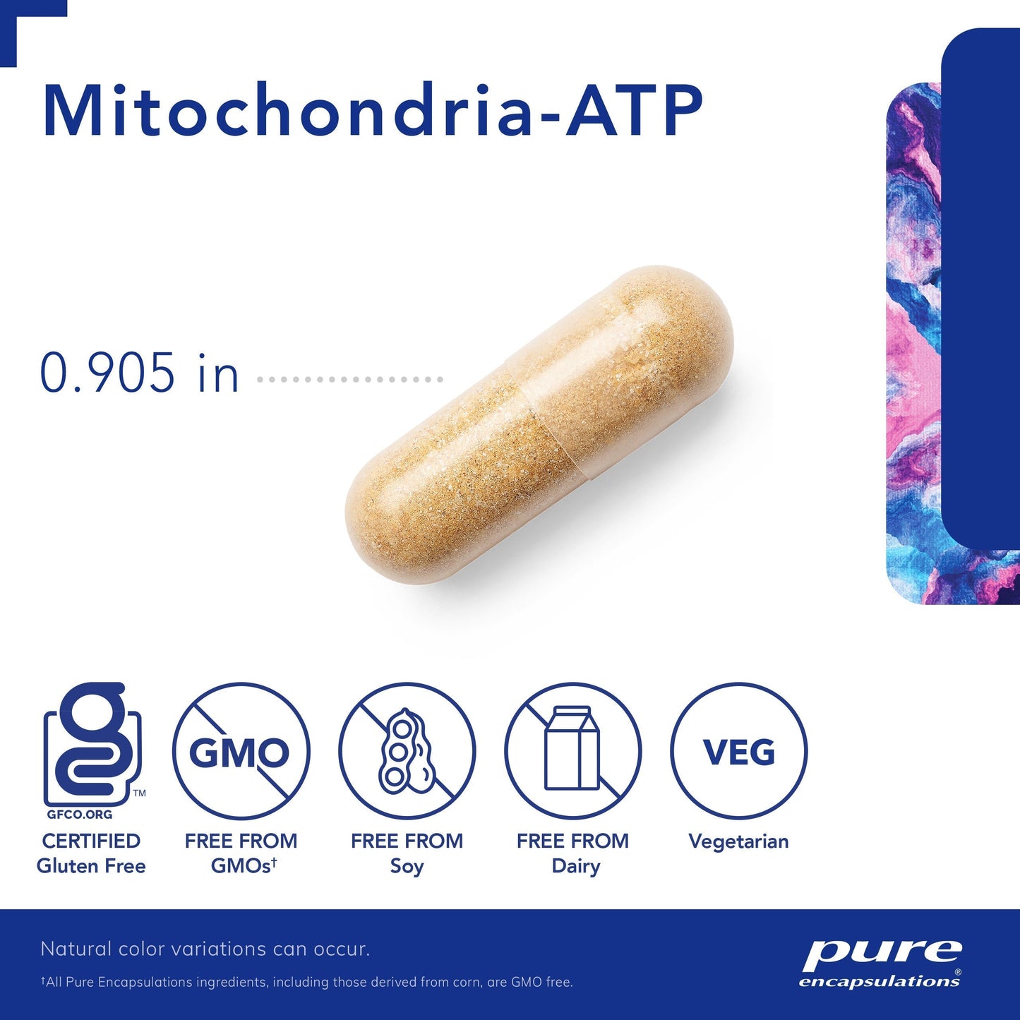 Mitochondria ATP